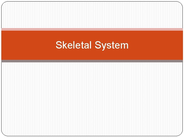 Skeletal System 