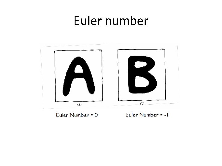 Euler number 