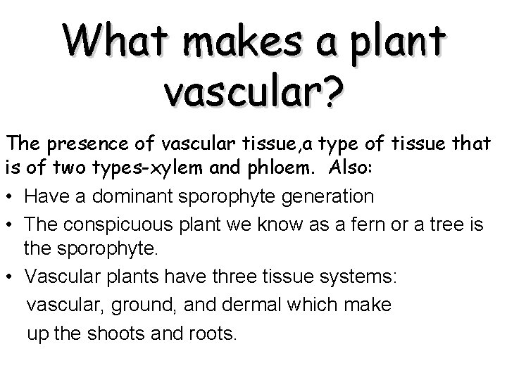 What makes a plant vascular? The presence of vascular tissue, a type of tissue