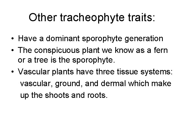 Other tracheophyte traits: • Have a dominant sporophyte generation • The conspicuous plant we