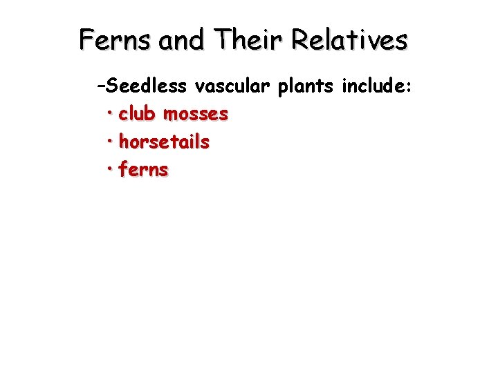 Ferns and Their Relatives –Seedless vascular plants include: • club mosses • horsetails •