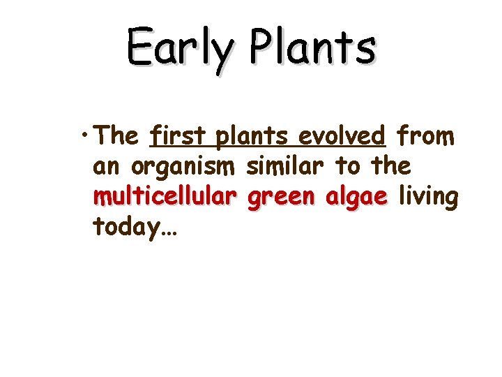 Early Plants • The first plants evolved from an organism similar to the multicellular