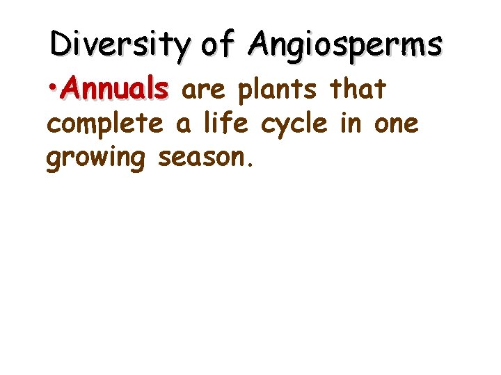 Diversity of Angiosperms • Annuals are plants that complete a life cycle in one