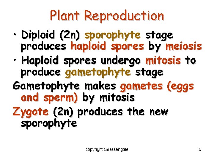 Plant Reproduction • Diploid (2 n) sporophyte stage produces haploid spores by meiosis •