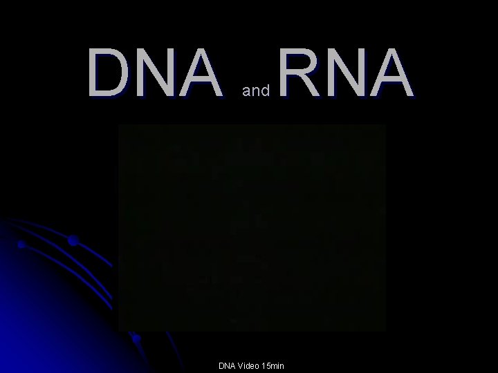 DNA RNA and Chapter 4 -3 DNA Video 15 min 