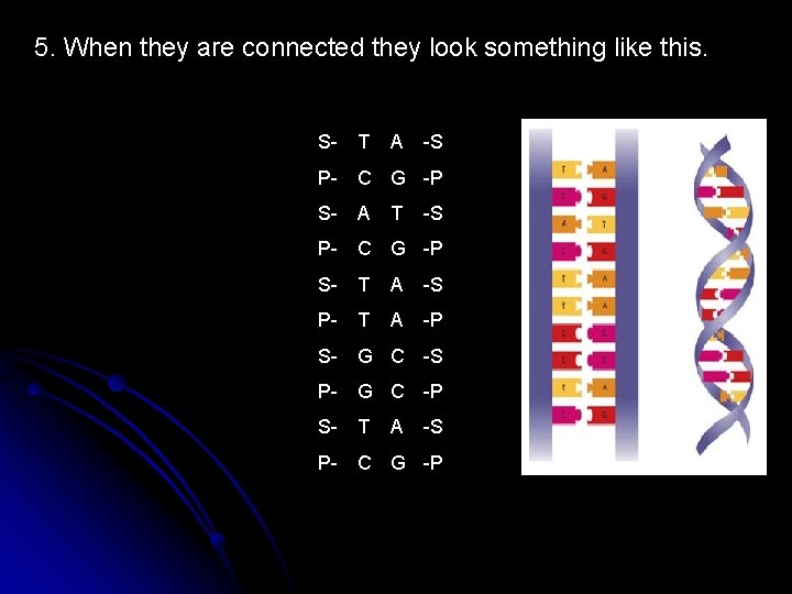 5. When they are connected they look something like this. S- T A P-