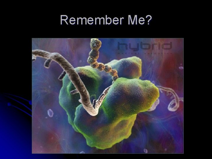Remember Me? 