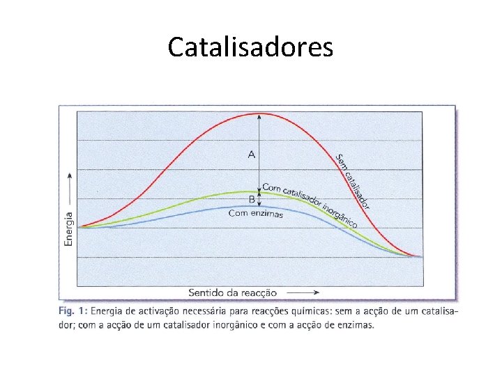 Catalisadores 