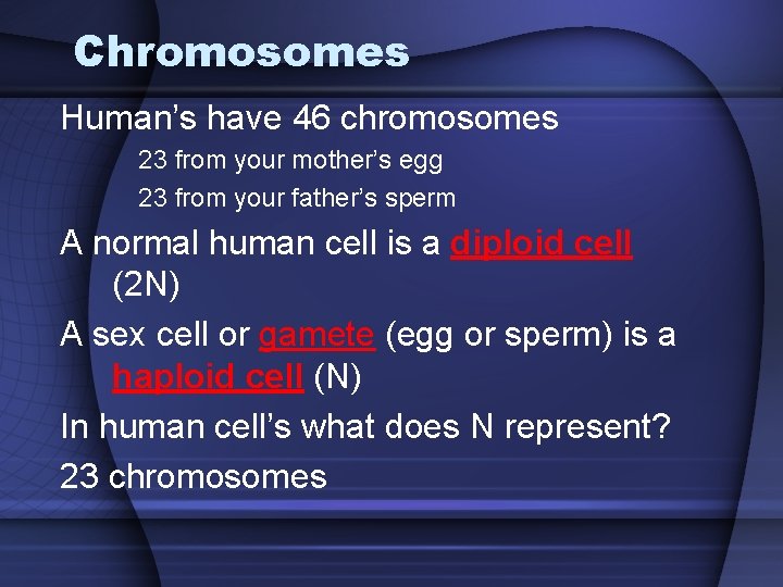 Chromosomes Human’s have 46 chromosomes 23 from your mother’s egg 23 from your father’s