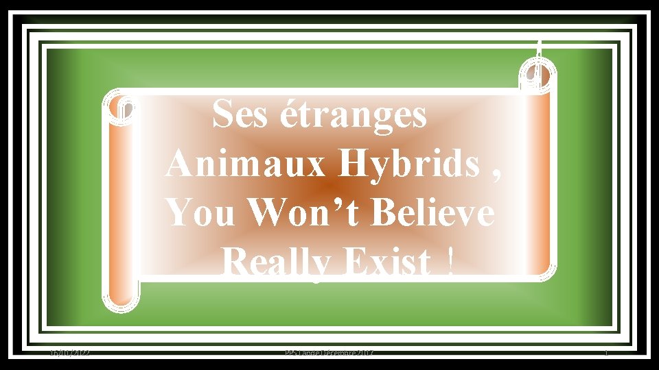 Ses étranges Animaux Hybrids , You Won’t Believe Really Exist ! 16/01/2022 PPS Lande