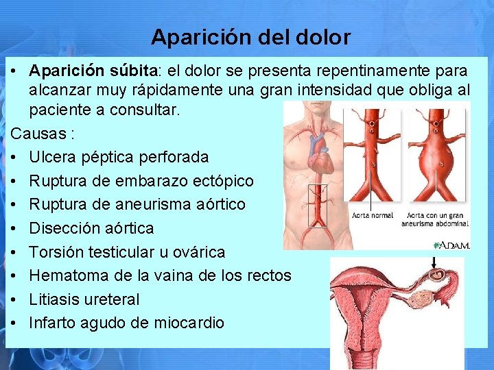 Aparición del dolor • Aparición súbita: el dolor se presenta repentinamente para alcanzar muy