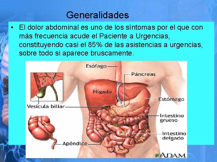 Generalidades • El dolor abdominal es uno de los síntomas por el que con