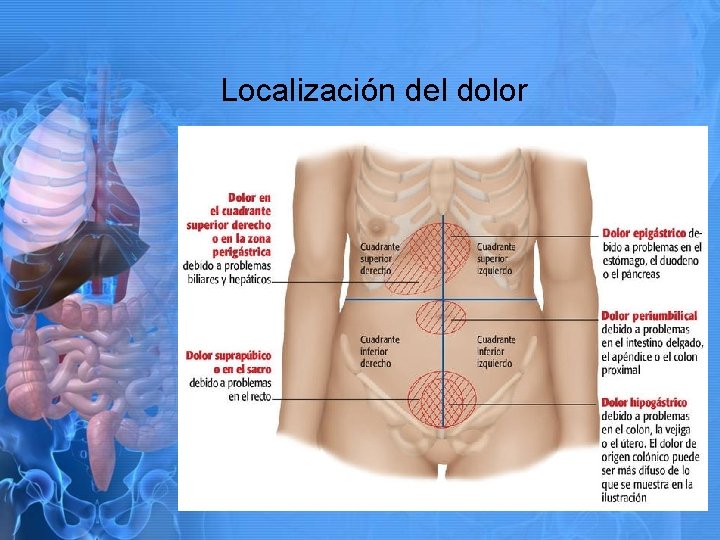 Localización del dolor 