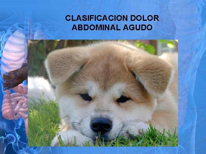 CLASIFICACION DOLOR ABDOMINAL AGUDO 