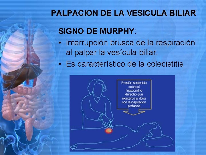 PALPACION DE LA VESICULA BILIAR SIGNO DE MURPHY: • interrupción brusca de la respiración