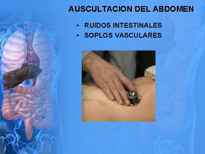 AUSCULTACION DEL ABDOMEN • RUIDOS INTESTINALES • SOPLOS VASCULARES 