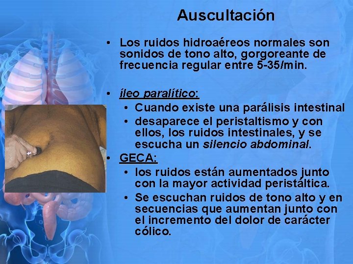 Auscultación • Los ruidos hidroaéreos normales sonidos de tono alto, gorgoreante de frecuencia regular