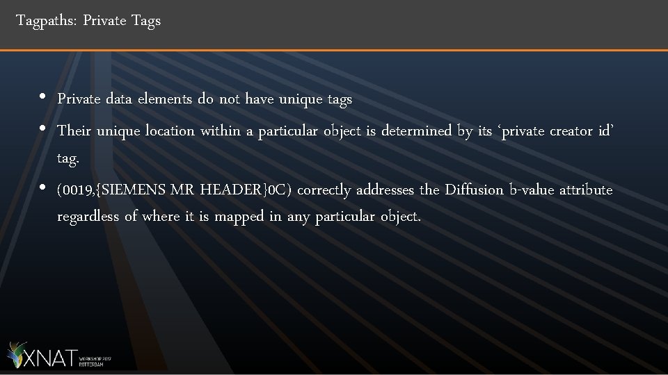 Tagpaths: Private Tags • Private data elements do not have unique tags • Their