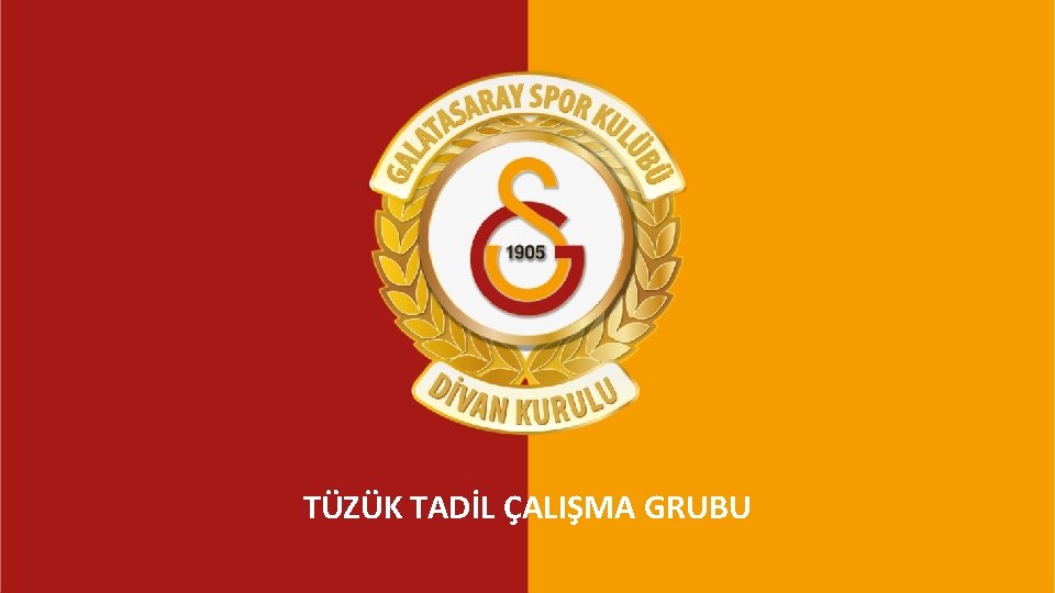 TÜZÜK TADİL KOMİSYONU TÜZÜK TADİL ÇALIŞMA GRUBU 