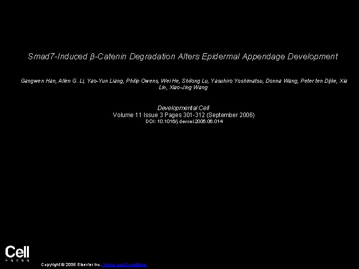 Smad 7 -Induced β-Catenin Degradation Alters Epidermal Appendage Development Gangwen Han, Allen G. Li,