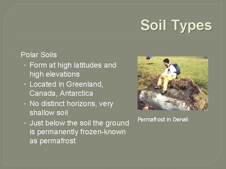 Soil Types � Polar Soils • Form at high latitudes and high elevations •