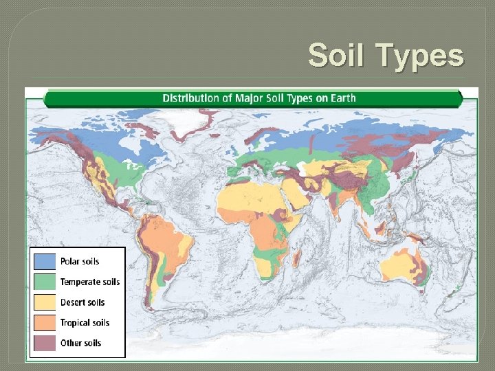 Soil Types 