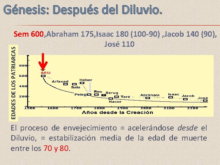 Génesis: Después del Diluvio. EDADES DE LOS PATRIARCAS Sem 600, Abraham 175, Isaac 180