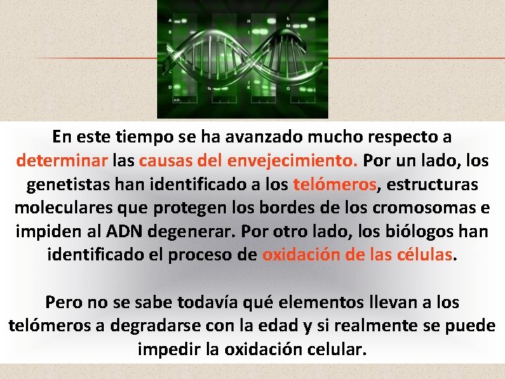 En este tiempo se ha avanzado mucho respecto a determinar las causas del envejecimiento.