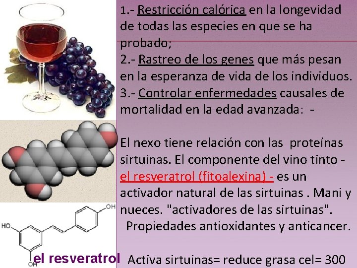 1. - Restricción calórica en la longevidad de todas las especies en que se