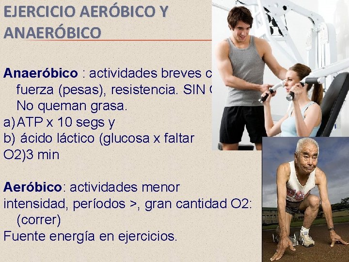 EJERCICIO AERÓBICO Y ANAERÓBICO Anaeróbico : actividades breves con fuerza (pesas), resistencia. SIN Oxígeno.