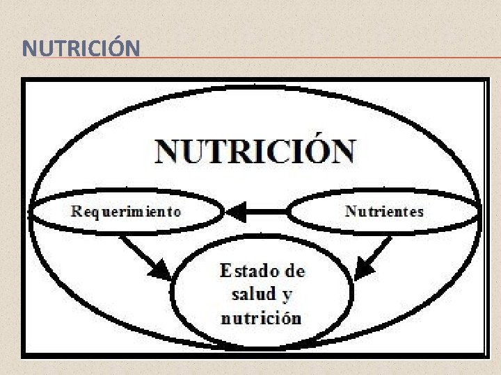 NUTRICIÓN 