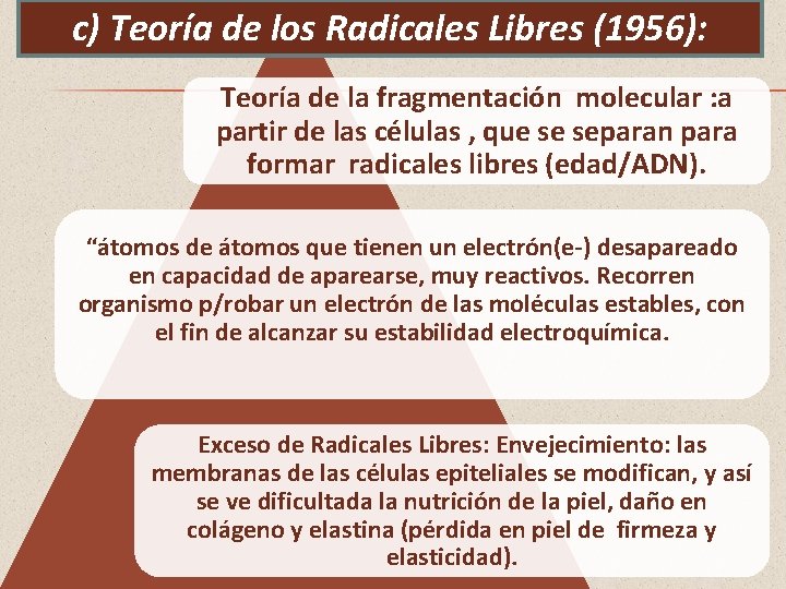 c) Teoría de los Radicales Libres (1956): Teoría de la fragmentación molecular : a