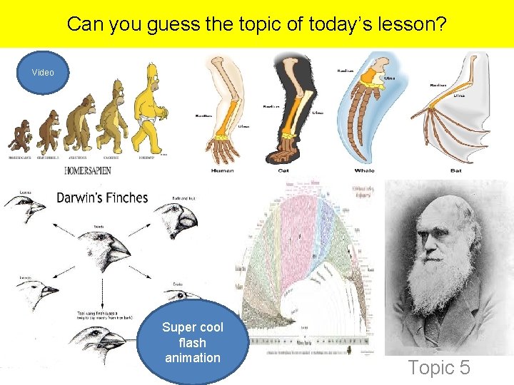Can you guess the topic of today’s lesson? Video http: //openlibrary. org/books/OL 9940982 M/Biology_Science_Skills_Worksheets_with_Answer_Key_(Holt_Scien