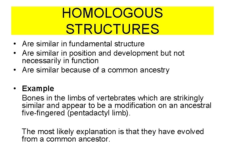 HOMOLOGOUS STRUCTURES • Are similar in fundamental structure • Are similar in position and