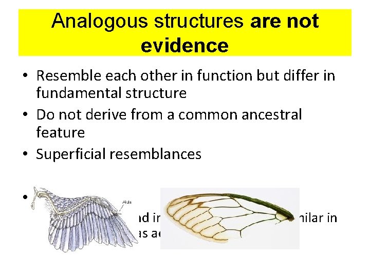 Analogous structures are not evidence • Resemble each other in function but differ in