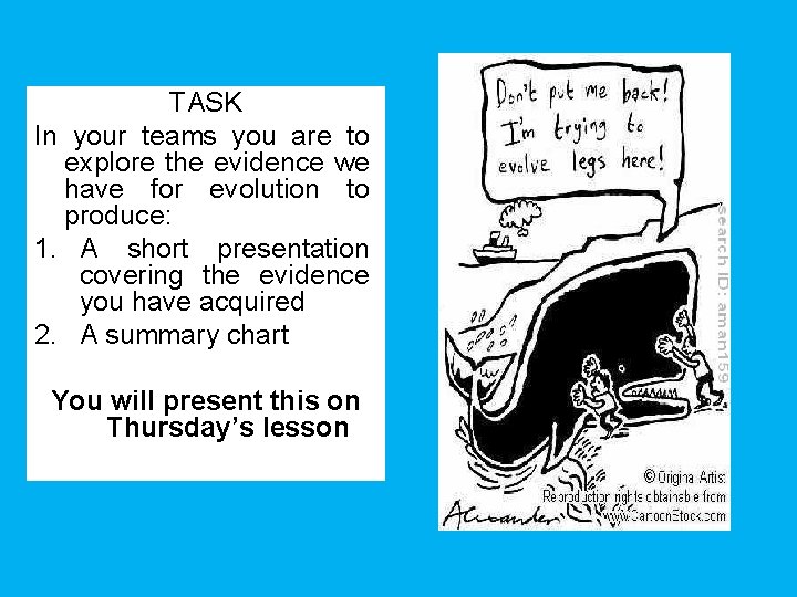 TASK In your teams you are to explore the evidence we have for evolution