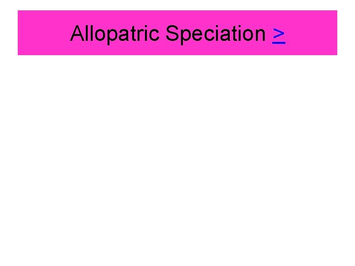 Allopatric Speciation > 