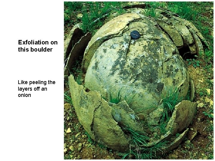 Exfoliation on this boulder Like peeling the layers off an onion Exfoliation on this boulder Like peeling the layers off an onion
