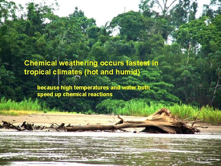 Chemical weathering occurs fastest in tropical climates (hot and humid) because high temperatures and Chemical weathering occurs fastest in tropical climates (hot and humid) because high temperatures and