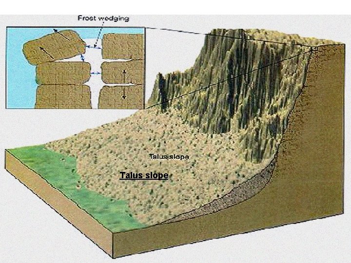 Talus slope Talus slope