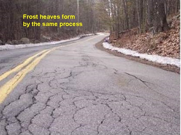 Frost heaves form by the same process Frost heaves form by the same process