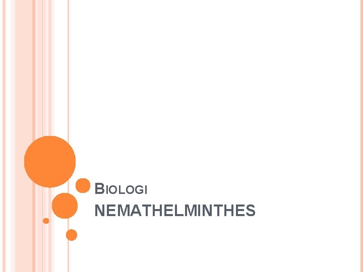BIOLOGI NEMATHELMINTHES 