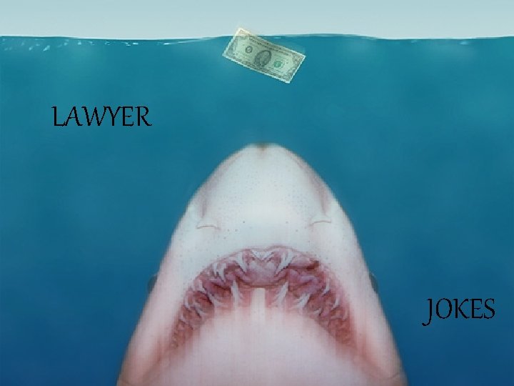 LAWYER JOKES 