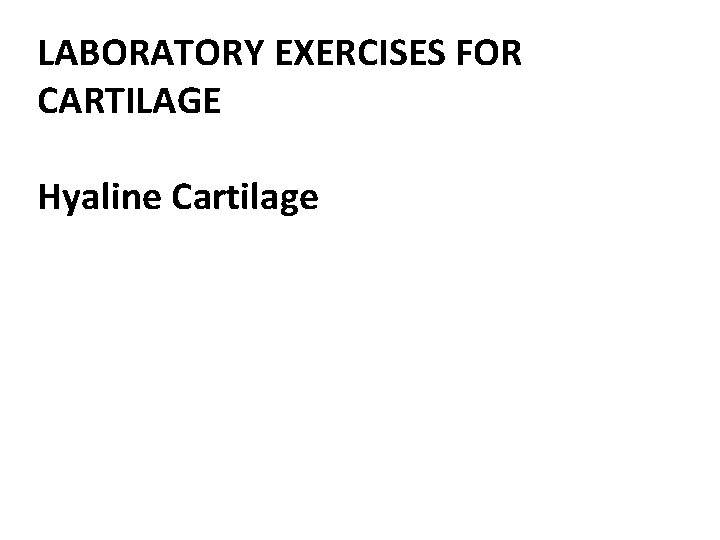 LABORATORY EXERCISES FOR CARTILAGE Hyaline Cartilage 