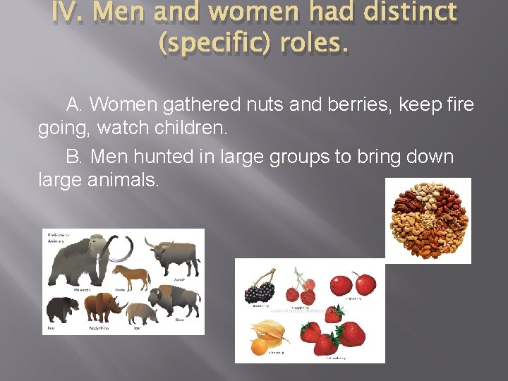 IV. Men and women had distinct (specific) roles. A. Women gathered nuts and berries, IV. Men and women had distinct (specific) roles. A. Women gathered nuts and berries,