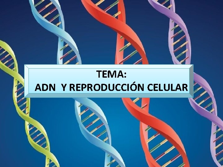 TEMA: ADN Y REPRODUCCIÓN CELULAR 