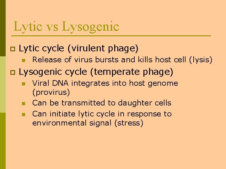 Lytic vs Lysogenic p Lytic cycle (virulent phage) n p Release of virus bursts
