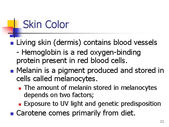 Skin Color n n Living skin (dermis) contains blood vessels - Hemoglobin is a Skin Color n n Living skin (dermis) contains blood vessels - Hemoglobin is a