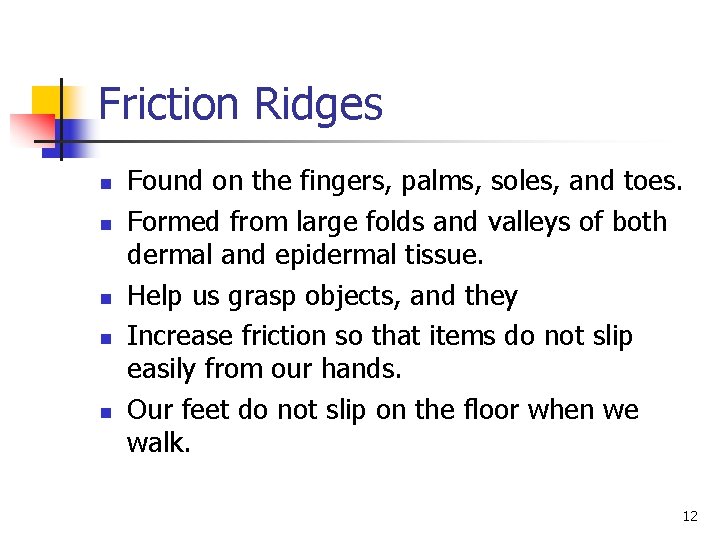 Friction Ridges n n n Found on the fingers, palms, soles, and toes. Formed Friction Ridges n n n Found on the fingers, palms, soles, and toes. Formed