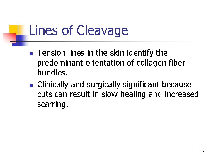 Lines of Cleavage n n Tension lines in the skin identify the predominant orientation Lines of Cleavage n n Tension lines in the skin identify the predominant orientation